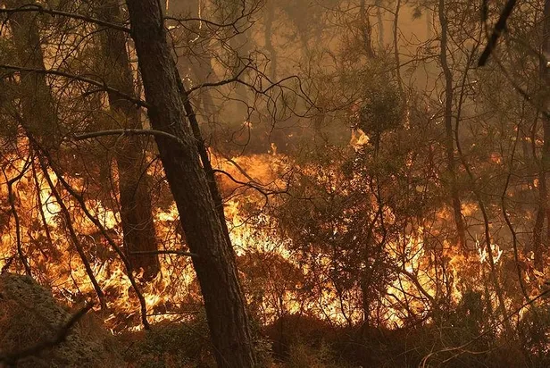 Muğla ve İzmir'de peş peşe orman yangınları! Datça'daki yangın kontrol altında-24