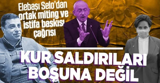 HDPKK’lı Selahattin Demirtaş muhalefete ortak miting ve hükümeti istifaya zorlama çağrısı yaptı