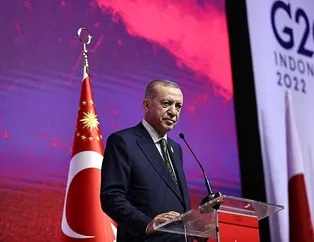 Maliyeti sınırsız olur