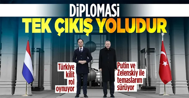 Başkan Erdoğan ve Hollanda Başbakanı Rutte'den önemli açıklamalar: Diplomasi tek çıkış yoludur