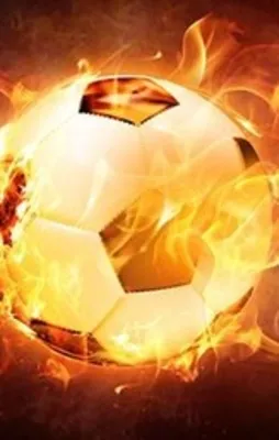 TAHKİM'den Fatih Terim'e kötü haber