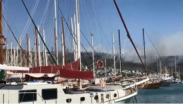 Türkiye'de peş peşe orman yangınları! Başkan Erdoğan açıkladı: 5 il Genel Hayata Etkili Afet Bölgesi ilan edildi-4