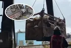 İstanbul'da 10 ton uyuşturucu yakılarak imha edildi