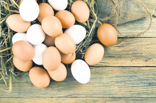 Yasemin Özilhan gibi birçok sosyetik kırışıklıklarla 200 TL'ye savaşıyor: Yumurta yağından krem mucizesi-2