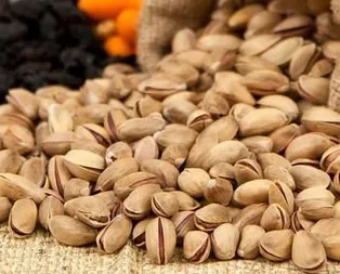 Antep fıstığının kilosu 120 lira