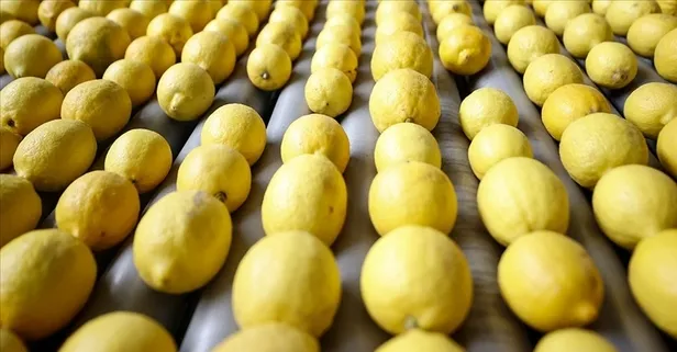 Limon sindirimi kolaylaştırır