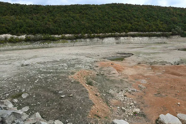 1636281939331.jpg Trakya'da tedirgin eden manzara! "Kaygılıyız"-2