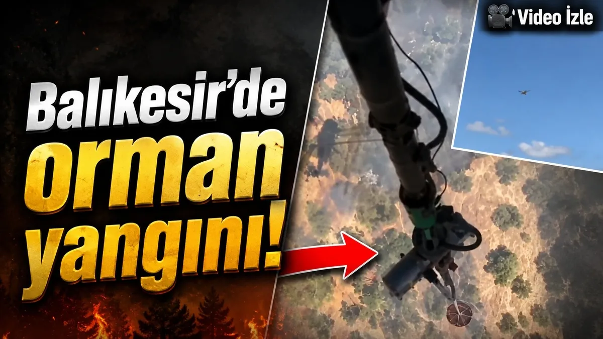 Balıkesir'de orman yangını!