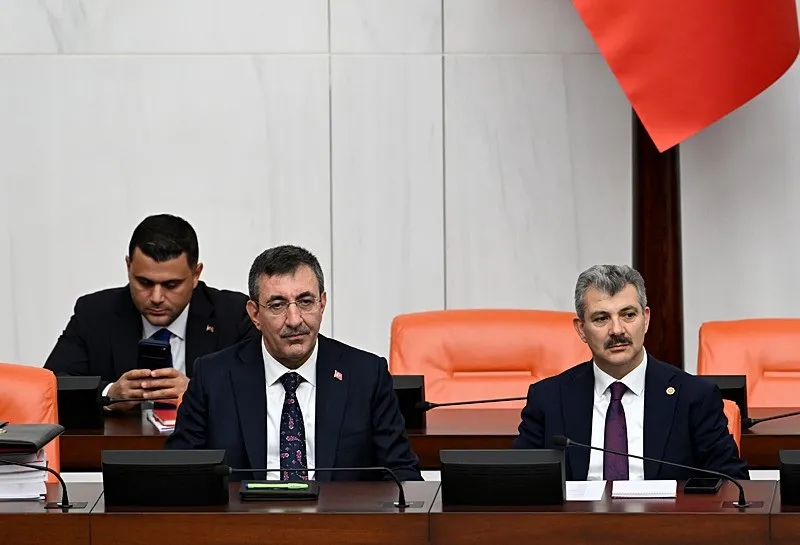 Cumhurbaşkanı Yardımcısı Cevdet Yılmaz (AA)