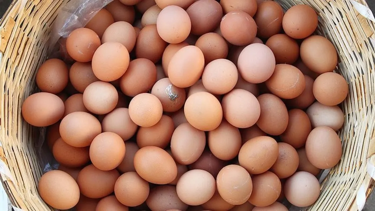 Kataraktın çaresi yumurta