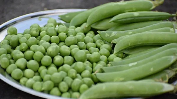 ilac-alerjisine-dikkat-1645218517707.jpeg İlaç alerjisine dikkat | 19 Şubat 2022 sağlık haberleri-1