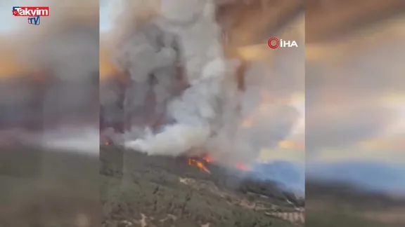 Foça'da orman yangını: Havadan 11 uçakla müdahale