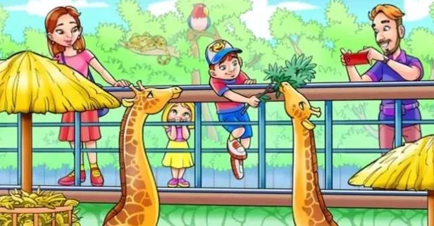 Zeka testi: Bu resimdeki gizli maymun nerede? 5 saniyede 260 kişiden 11'i bulabildi