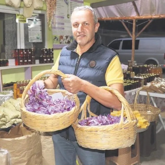 Safran çiçek açtı