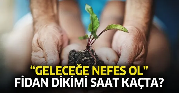 Geleceğe Nefes Ol kampanyası: 11 milyon fidan dikimi saat kaçta? Fidan dikimi tören alanları neresi?-1