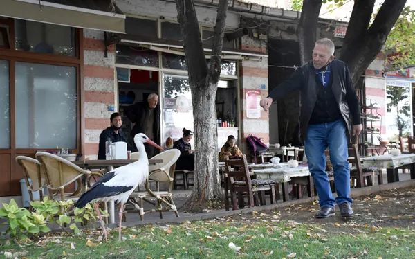 tekirdagda-suruden-ayrilan-leylege-bedesten-carsisi-esnafi-sahip-cikti-1632405055872.jpg Tekirdağ'da sürüden ayrılan leyleğe Bedesten Çarşısı esnafı sahip çıktı-9