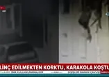 Mahalleliden kaçan hırsız karakola sığındı