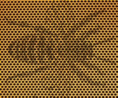 ilk-gordugun-hayvan-buysa-hafiza-gucun-muhtesem-derecede-cikiyor-1711095370964.jpg İlk gördüğün hayvan buysa hafıza seviyen muhteşem derecede çıkıyor-2