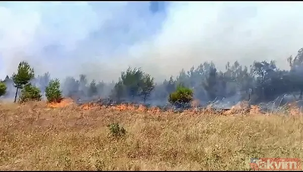 Anız yakma, yaktırma! Tarım ve Orman Bakanı İbrahim Yumaklı'dan çiftçiye 'yangın' uyarısı: Hasatta sigara içme, tarlada çay demleme - 6