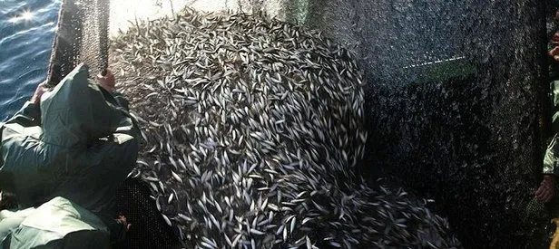 1 Eylül’de Mavi Vatan özlemi bitiyor