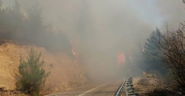 Osmaniye’de orman yangını! Evler boşaltılıyor