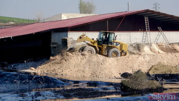 Edirne'de çevre katliamı! Tonlarca fuel oil 30 dekar alana ve dere yatağına yayıldı - 6
