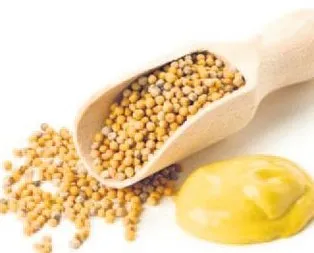 Hardalla mutlu kal