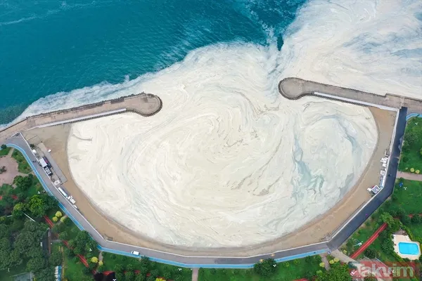 Caddebostan Sahili'nde müsilaj yoğunluğu arttı! Tabloya benzer görüntüler oluştu - 8