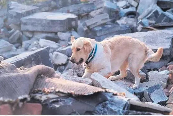 Felaketi önce onlar yaşadı