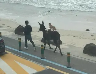 Günün en çok paylaşılan kareleri - 7 Ağustos