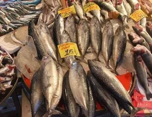 Balık satın alırken dikkat! Palamutta büyük hile