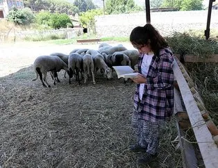 Çoban kızın kitap sevgisi dikkat çekti