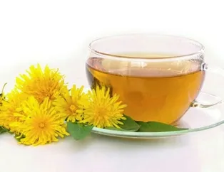 Pankreasa karahindiba