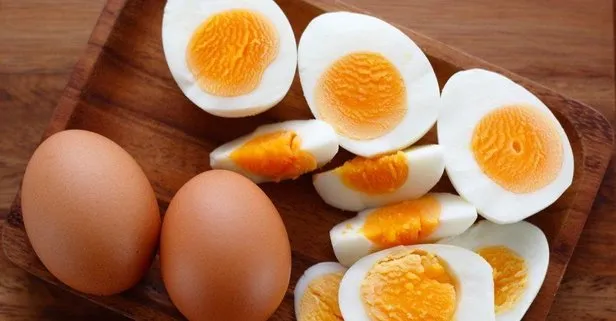 yumurta ile ilgili görsel sonucu