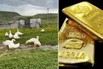 Bir tanesiyle 4500 TL kazanıyorlar! Köylüler gram altın yerine bunu biriktiriyor