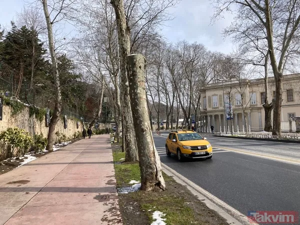 İBB'nin ağaç katliamı karşısında kafasını kuma gömenlere tepki! "Muhalefet keserse ağaçlar hasta, hükümet keserse doğa düşmanı..." - 12