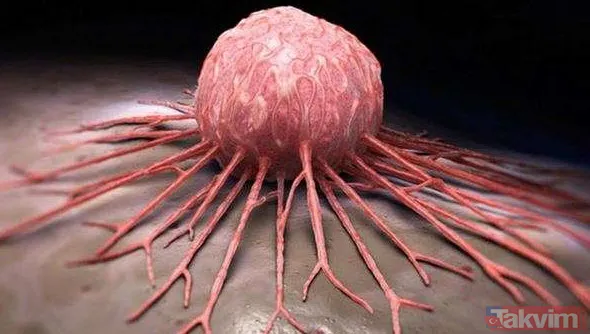 Hem gençleştiriyor hem de kanserin önüne set çekiyor bulduğunuzda kaşık kaşık yiyin! Gecelerin yargıcı olarak biliniyor - 5