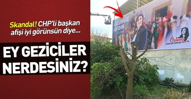 CHP Aydın Büyükşehir Belediye Başkanı Özlem Çerçioğlu, afişi görünsün diye ağacı kestirdi