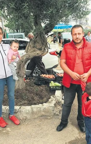 Araçlarıyla sel felaketinin ortasında kalan aileyi zeytin ağacı kurtardı