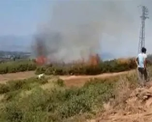 İzmir’de makilik yangını