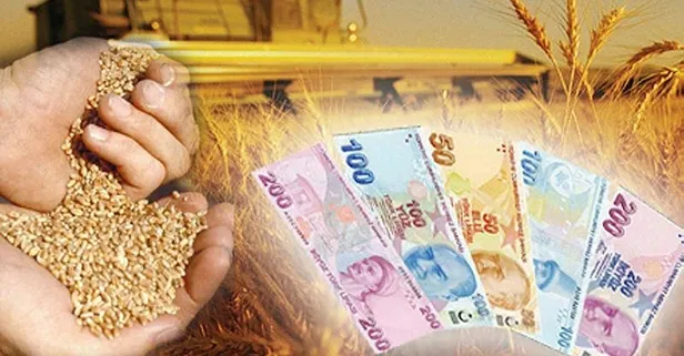 Tarım ve Orman Bakanlığı'ndan 'arpa fiyatı' açıklaması: "Çiftçinin zarara uğratıldığı iddiaları gerçeği yansıtmamaktadır"
