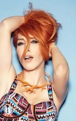 11 günde devr-i Türkiye