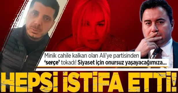 Sezen Aksu’ya kalkan olan Ali Babacan’a ilk tokat partisinden: DEVA Partisi Kovancılar İlçe teşkilatı istifa etti!