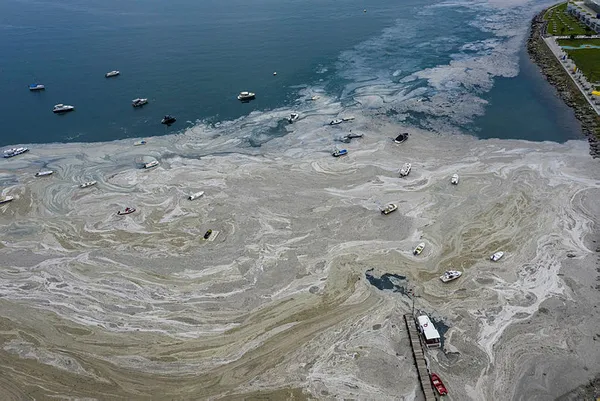 Silahtarağa'da şov yapanlar Kanal İstanbul'u da istemiyordu! Marmara'yı işgal eden deniz salyasını Kanal İstanbul azaltacak!-2