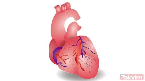 🏥 Erken Teşhis Hayat Kurtarıyor Araştırmalara Göre, Sads Sonucu Yaşamını Yitirenlerin Üçte Biri, Ölümden Önceki Altı Ay İçinde En Az Bir Kez Hastaneye...