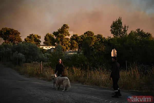 Yunanistan alevlere teslim oldu! O güne kadar kırmızı alarm! | Türkiye'den Yunanistan'a yardım eli - 7