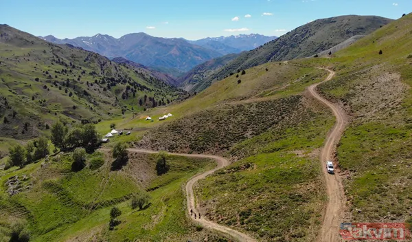 Tunceli'de sürü sahipleri 2 bin 500 metre rakımlı yaylada aşılandı - 3