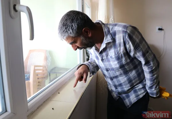 Mahalleyi bit pire sivrisinek bastı! Vatandaşlar geceleri uyuyamıyor - 4