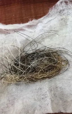 Cinci hocanın evinden çıkan şeyler şoke etti