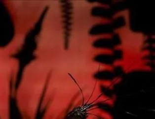 Aşkın Rengi Kırmızı